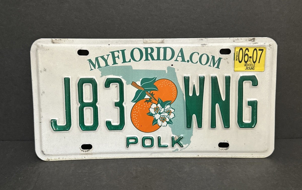 2007 Florida License Plate - Polk County — J83 🍊WNG — | eBay