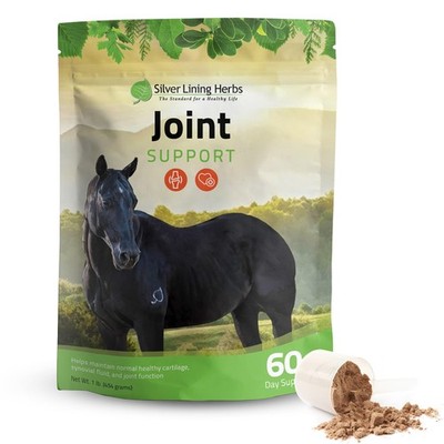 Horse Joint Support - Joint Complex, Mobility & Comfort Horse Supplements - E...