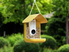 Bird Buddy Smart Bird Feeder with Camera Yellow