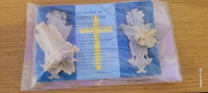 Vtg 1983 The Legand Of The Crucifix Fish Skeleton Post Card Unopened