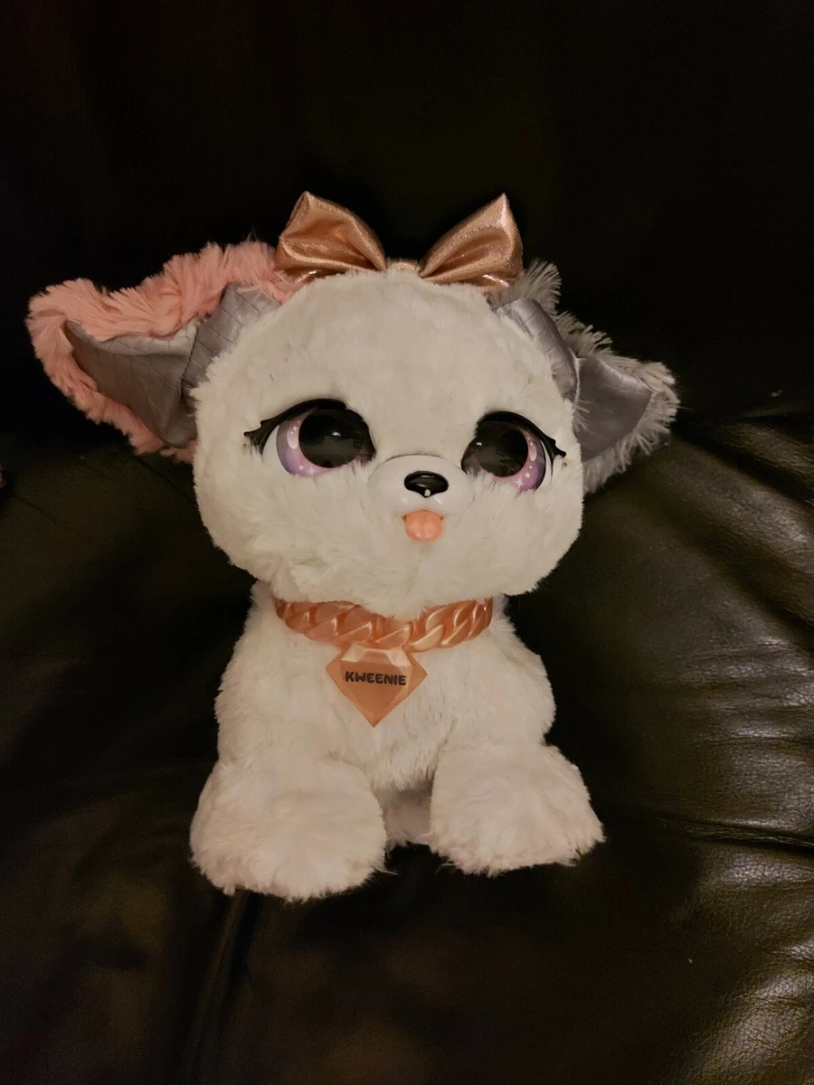 Present outlet pets toy