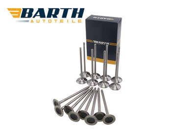 8x Einlassventil 8x Auslassventil BMW N20B20 N52B30B 11347598273 11347583777