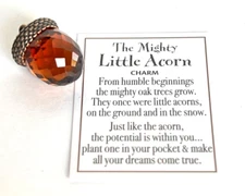 Ganz Mighty Little ACORN Token Faceted Glass w/Brass Top +Poem Card 1"