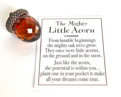 Ganz Mighty Little ACORN Token Faceted Glass w/Brass Top +Card 1''