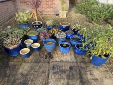 Large Collection of Blue Glazed Garden House Plant Pots Planters / May Split