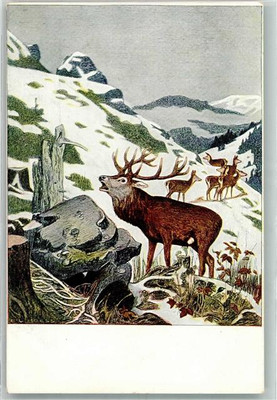 39876643-Stag Deer Winter Signed Hoess Eug.Ludw. Publisher Hirths Series II No.5