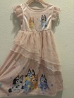 Disney Bluey Nightgown Girl Pajama Sleep shirt Poly Satin 3T Bingo Pink — photo 1