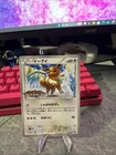 Pokemon TCG Eevee 213/BW-P Promotional Card Gym Challenge Promo Japanese