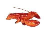 Formano Krabbe Rot 13 Cm Meer Maritim Deko Objekt Figur Urlaub Meerestier