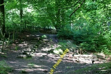 Photo 6x4 Cwm Merddog, Silent Valley Local Nature Reserve Blaina Short fl c2016