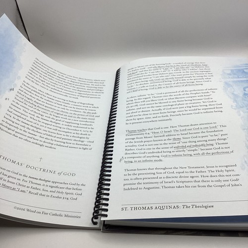 Catholicism Pivotal Players Volume 1 Study Guide Created by Bishop Robert Barron - Bild 23 von 24