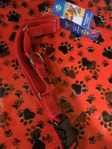 petsafe martingale