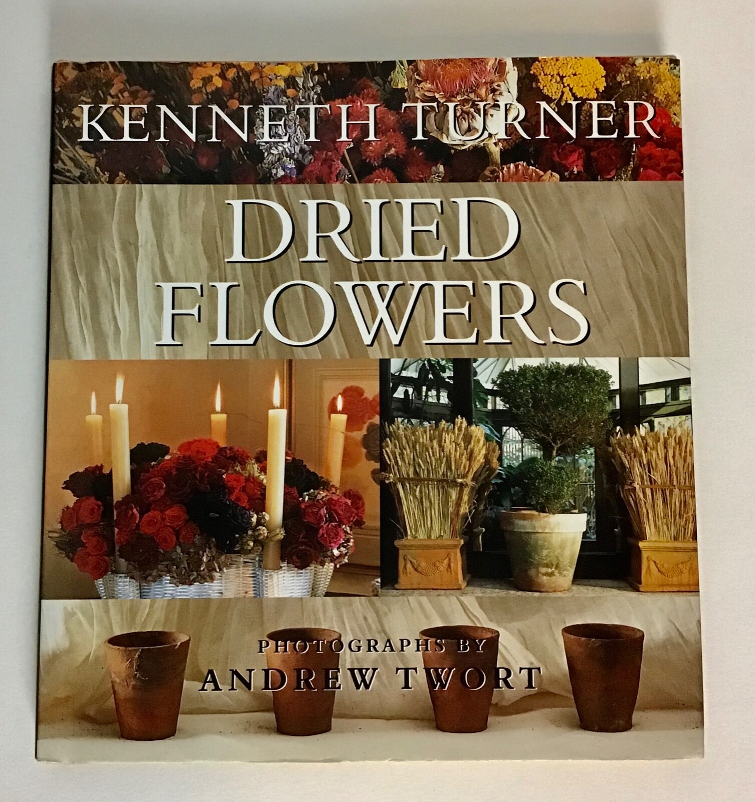 Dried Flowers by Kenneth Turner: New-image