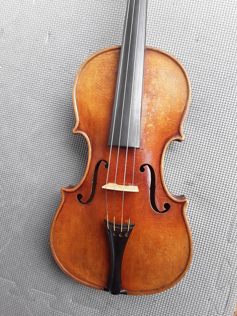 古いバイオリン Robert Dolling 4/4 珍しい表板一枚板 ドイツ製