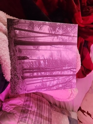 Taylor Swift Folklore Vinyl