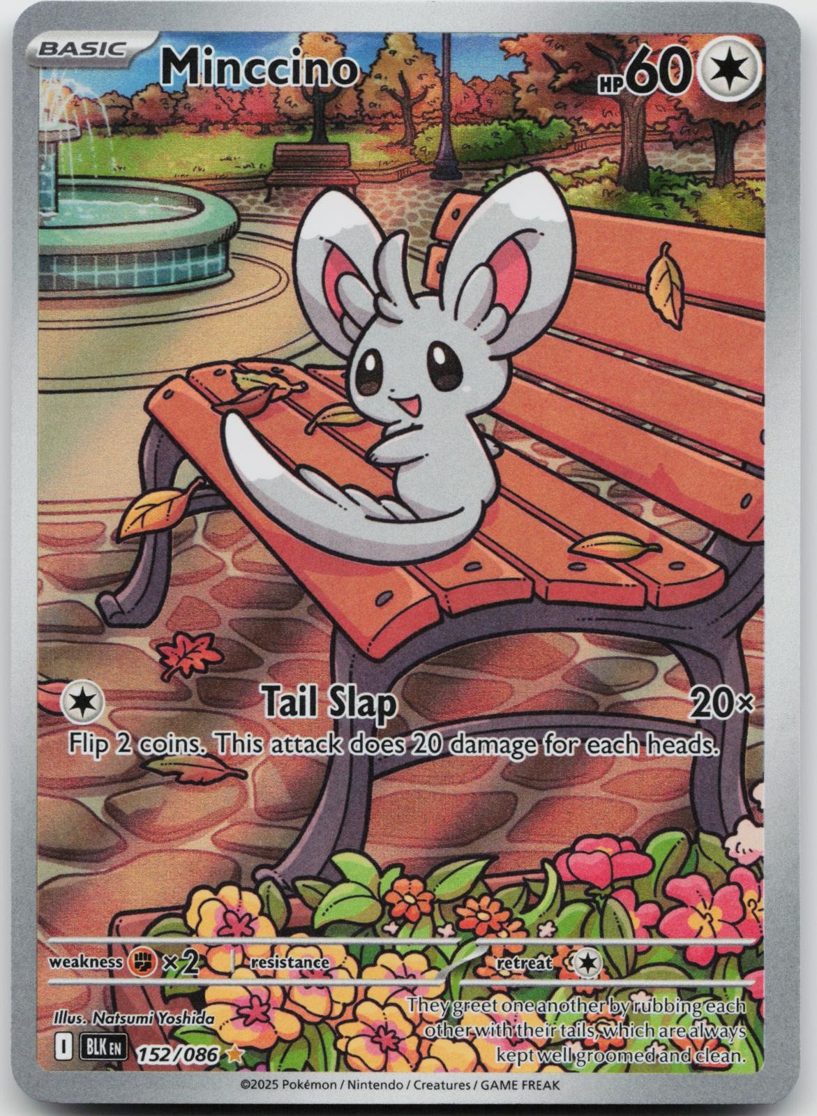 Minccino 152/086 Holo Illustration Rare Black Bolt Pokemon Near Mint