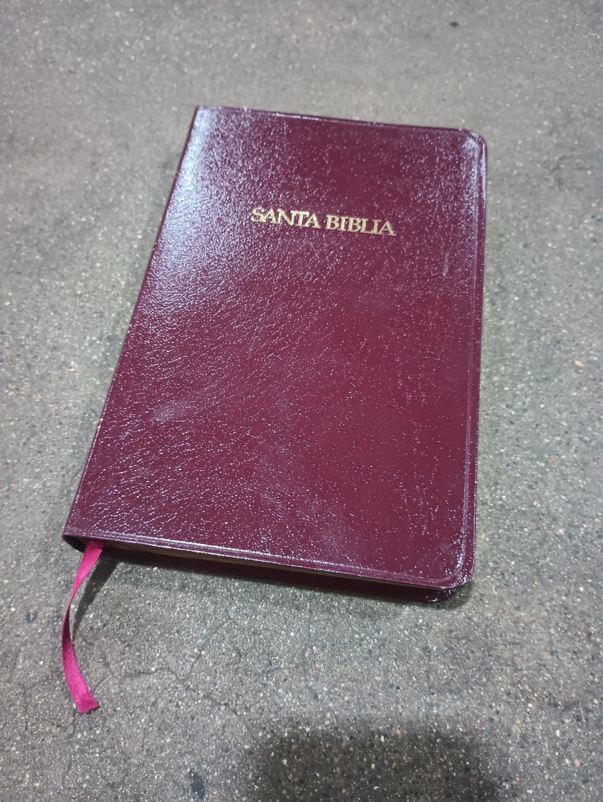 Reina Valera 1960 Santa Biblia Edicion Especial Con Referencias 1994