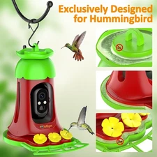 Smart Hummingbird Feeders with Camera AI Identify Bird Species, Video, Outdoor
