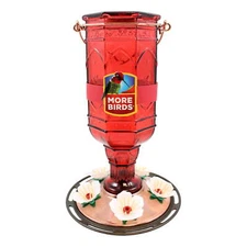 More Birds Red Jewel Glass Bottle Hummingbird Feeder, 20 oz Nectar Capacity,NEW