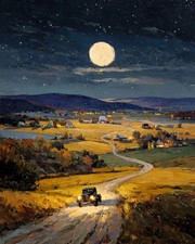 Painting by Numbers Kit for Adults 15.7 x 19.7 inches, PB312-1