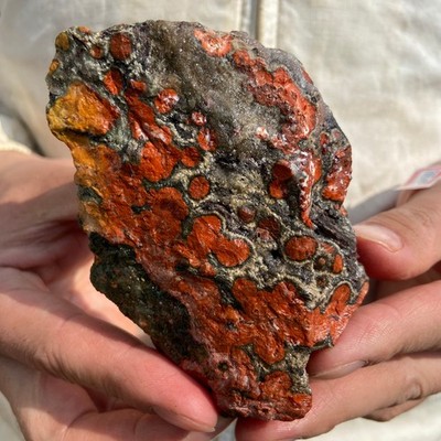 0.6lb Natural colourful ocean jasper raw stone crystal rough mineral specimen