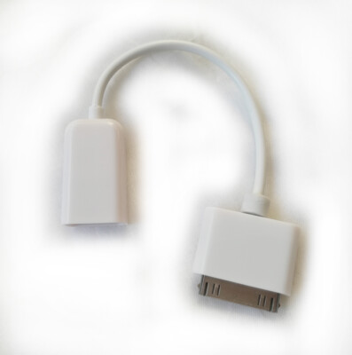 Ipad 30 Pin Female To Usb Adapter Ipad Apple 30 Pin Connector