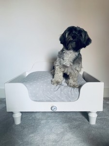 luxury dog beds ebay