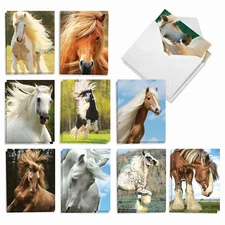 20 Assorted Blank Cards (10 Designs, 2 Each) - Magnificent Manes AM4601OCB-B2x10