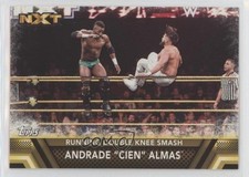 2017 WWE Then Now Forever Finishers and Signature Moves Andrade Cien Almas f9a