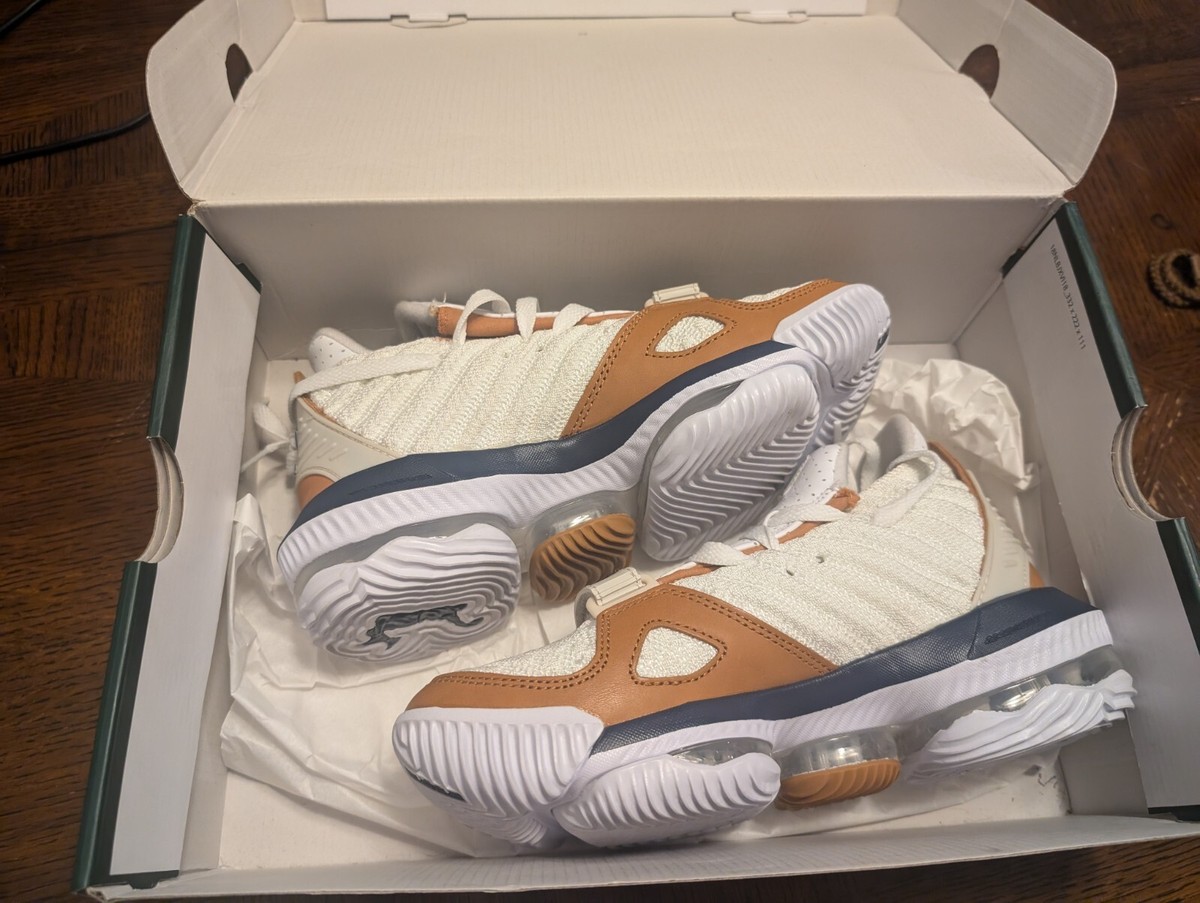 lebron 16 medicine ball price