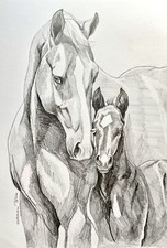 Original Drawing Art Pencil sketch arabian horse mare and foal 8”x10