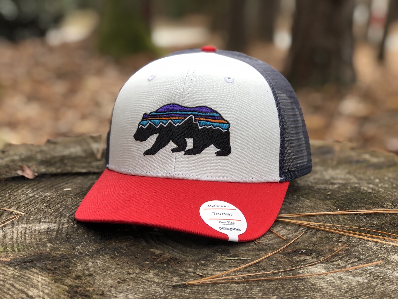 patagonia fitz roy bear trucker hat uk