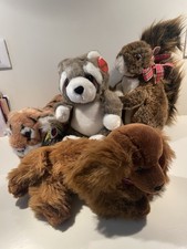 Lotto Peluche tigre Scoiattolo Procione cane Collezione Gioco