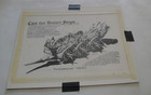 Signed! ERROL McCARTHY 70's CARtoons Magazine 'Cars That History Forgot' 29"x19" — photo 2