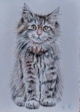 ACEO cat watercolor pencil by the author original 3,5"х2,5" 9x6cm not print