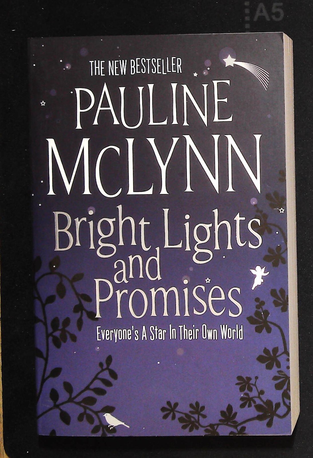 Bright Lights and Promises by Pauline McLynn New Book Love and Understanding