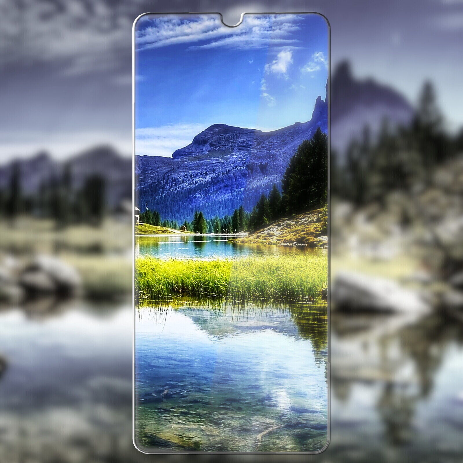 Bild 5 von 9