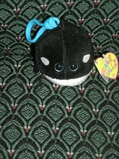 Ty Beanie Ballz SPLASH the WHALE 3" (CLIP) 2012 MWMT RARE & RETIRED HTF  