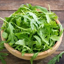 1200 ORGANIC ARUGULA SEEDS  | NON-GMO, Heirloom - USA FREE SHIP !