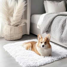 2x3 Machine Washable Small Bedside Rug, Soft Fluffy Shaggy 2x3 Feet White