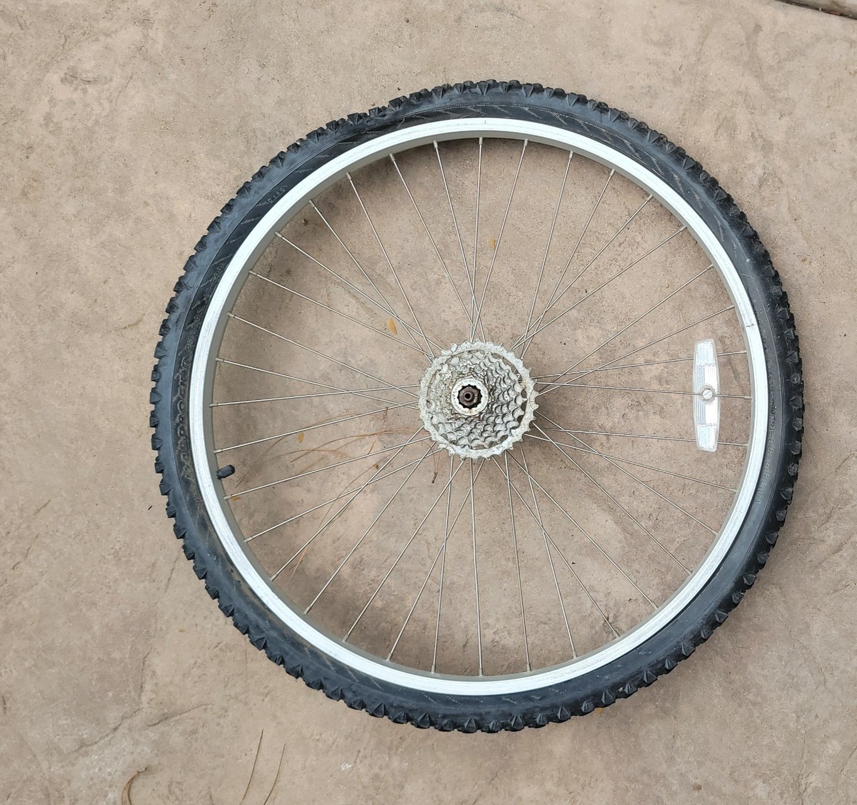 26 Inch 26 Rear Bike Wheel With Cassette Weinmann 519 26-inch