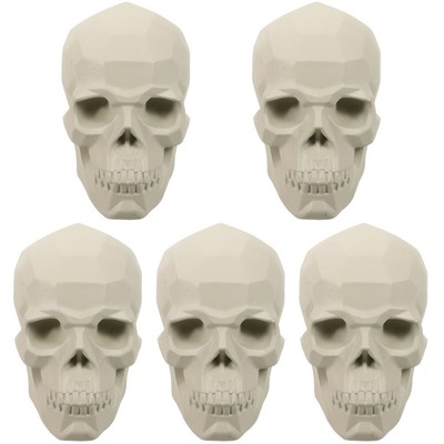  5 Pack Sketch -Schädelunterrichtshilfe Skizze Eines Übungsmodells