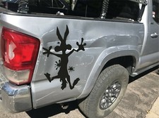 Coyote Splatter Band Aid For Cars And Trucks  Logo Vinyl Decal
