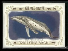 2021 Topps Allen & Ginter #RB-6 Humpback Whale Rallying Back