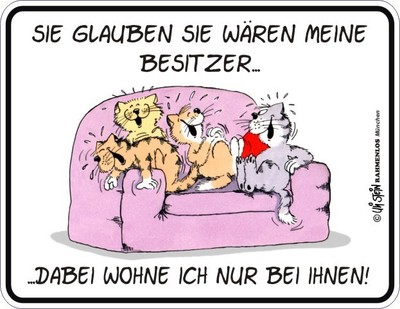 Blechschild Schild Uli Stein Sie glauben sie wären meine Besitzer  Katze