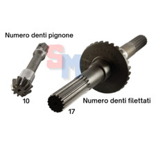COPPIA CONICA INFERIORE GOLDONI FRESA 22M DENTI 10 29 RIF. ORIG. 0015146+001