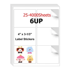 4" x 3-1/3" Laser/Ink Address Shipping Adhesive Labels 6 per Sheet Blank 6 UP