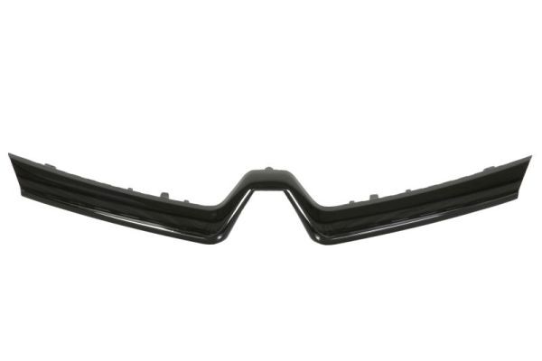 BLIC 6502-07-6009995P Trim/Protection Strip, radiator grille for RENAULT