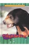 Malayan Sun Bears (Animals of the Rain Forest)