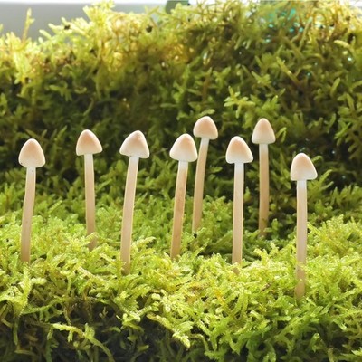 8-Pack Handmade Clay Mushrooms Mini Fake Mushrooms for DIY Miniature Landscapes